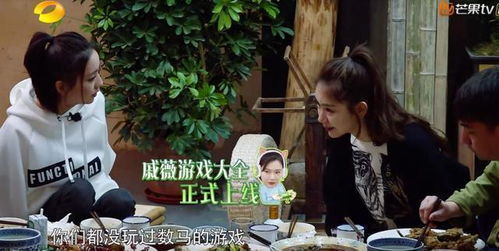 数马小游戏,数马游戏的趣味与智慧